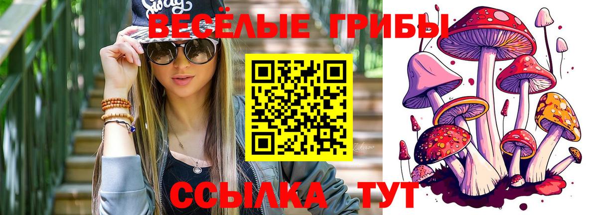 Псилоцибиновые грибы Psilocybine cubensis Ростов Великий